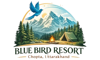 Blue Bird Resort